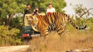 Golden Triangle Tour With Ranthambore